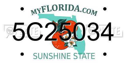 5C25034 Florida License Plate