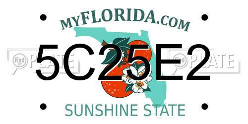 5C25E2 Florida License Plate