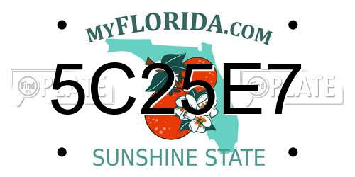 5C25E7 Florida License Plate