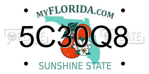 5C30Q8 Florida License Plate
