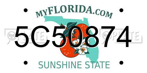 5C50874 Florida License Plate