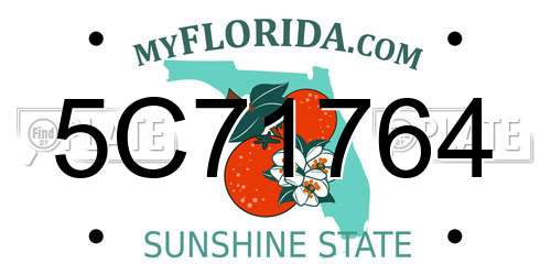 5C71764 Florida License Plate