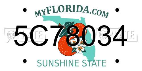5C78034 Florida License Plate
