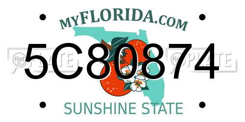 5C80874 Florida License Plate