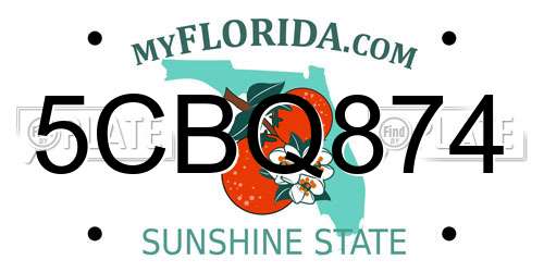 5CBQ874 Florida License Plate