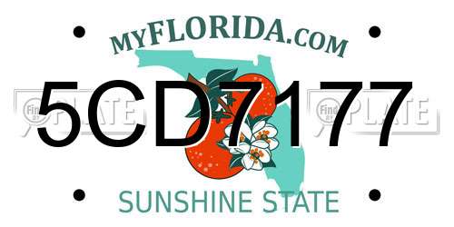 5CD7177 Florida License Plate
