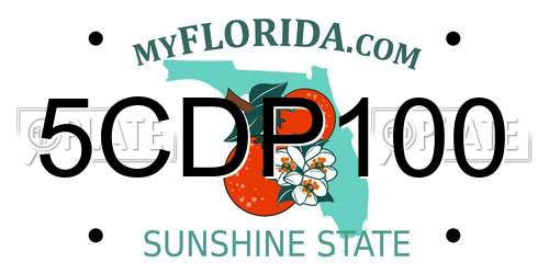 5CDP100 Florida License Plate