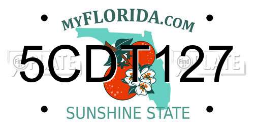 5CDT127 Florida License Plate