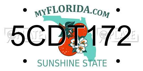 5CDT172 Florida License Plate