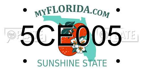 5CE005 Florida License Plate