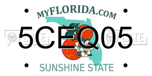 5CEQ05 Florida License Plate