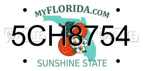 5CH8754 Florida License Plate