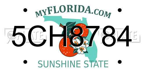 5CH8784 Florida License Plate