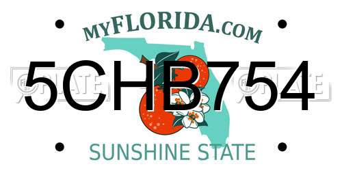 5CHB754 Florida License Plate