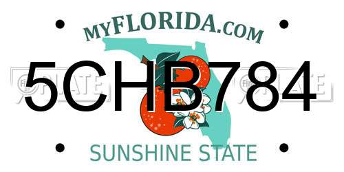 5CHB784 Florida License Plate