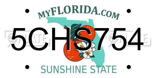 5CHS754 Florida License Plate