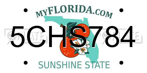 5CHS784 Florida License Plate
