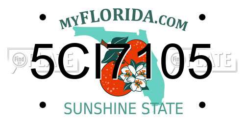 5CI7105 Florida License Plate