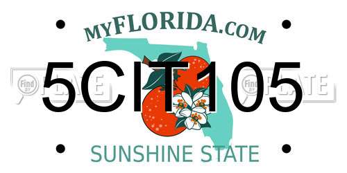 5CIT105 Florida License Plate