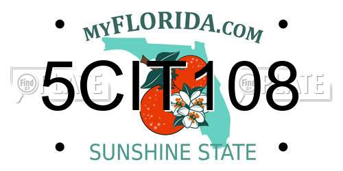 5CIT108 Florida License Plate