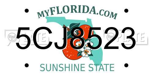 5CJ8523 Florida License Plate