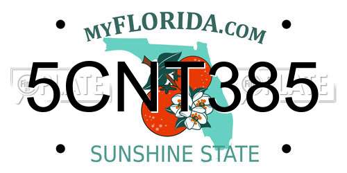 5CNT385 Florida License Plate