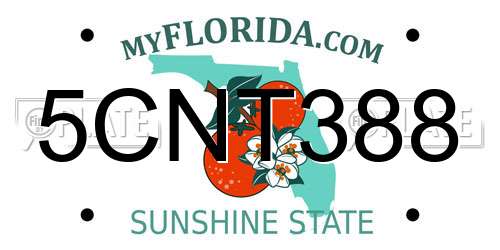 5CNT388 Florida License Plate