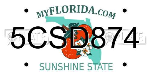 5CSD874 Florida License Plate