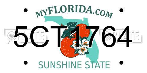 5CT1764 Florida License Plate