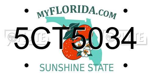 5CT5034 Florida License Plate