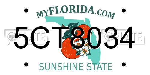 5CT8034 Florida License Plate