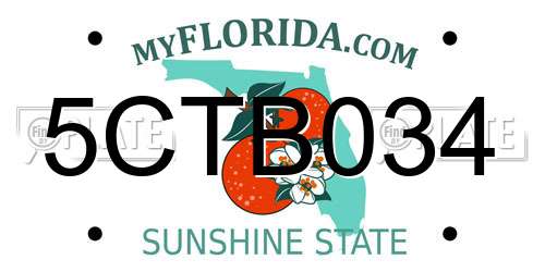 5CTB034 Florida License Plate