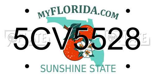 5CV5528 Florida License Plate
