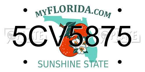 5CV5875 Florida License Plate