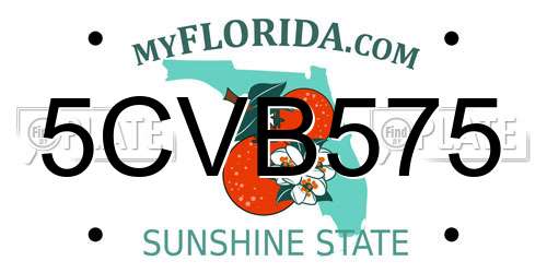 5CVB575 Florida License Plate
