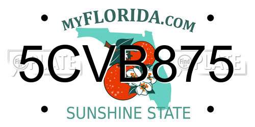 5CVB875 Florida License Plate