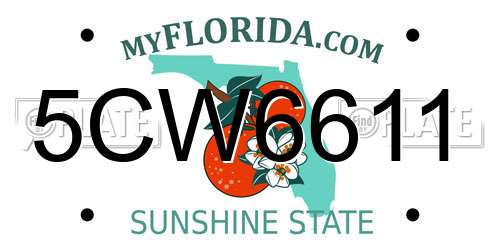 5CW6611 Florida License Plate