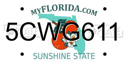 5CWG611 Florida License Plate