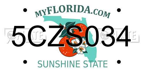 5CZS034 Florida License Plate
