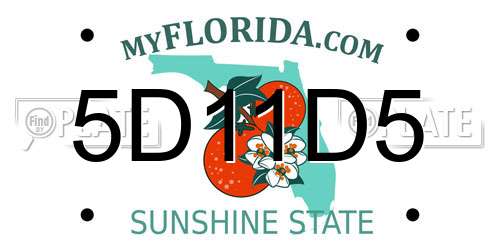 5D11D5 Florida License Plate
