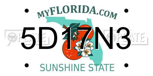 5D17N3 Florida License Plate