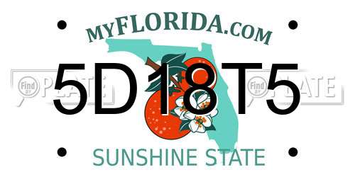5D18T5 Florida License Plate
