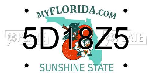 5D18Z5 Florida License Plate