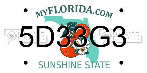 5D33G3 Florida License Plate