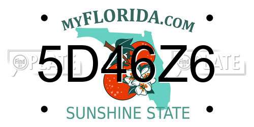5D46Z6 Florida License Plate