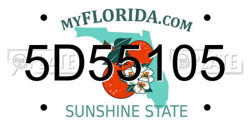 5D55105 Florida License Plate