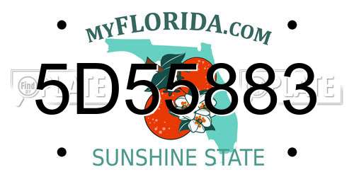 5D55883 Florida License Plate