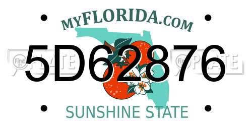 5D62876 Florida License Plate