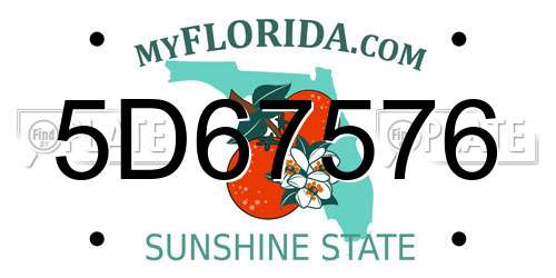 5D67576 Florida License Plate