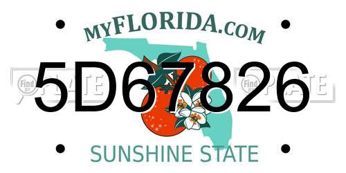 5D67826 Florida License Plate